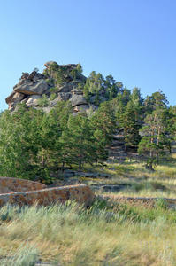 在山林，国家国家自然公园Burabai，K