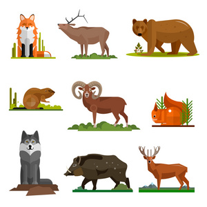 哺乳动物动物矢量集平面样式设计中。动物园卡通图标集合