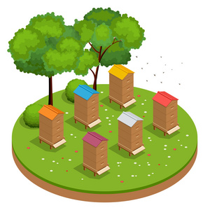 蜂蜜天然健康食品生产.蜜蜂, 花朵, 蜂窝和蜡照片