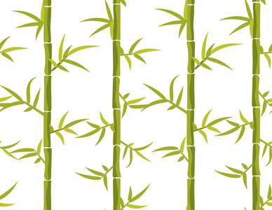 竹无缝垂直分布格局图片