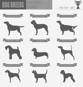 狗的品种。狩猎犬设置图标。平面样式