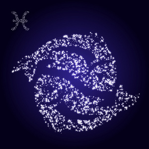 鱼科技双鱼座的星座由星星组成.照片