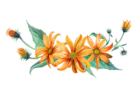 水彩分支橙花照片