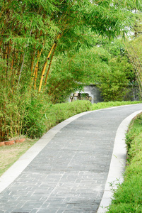 用竹子两外侧在中国传统园林的石头通道