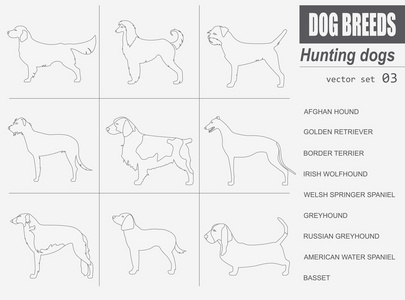 狗的品种。狩猎犬设置图标。平面样式