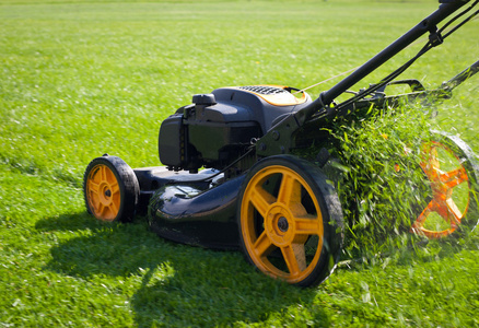 草坪割草机草照片