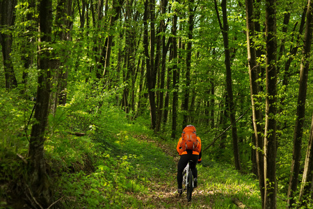 骑车人骑自行车在夏季森林小径上