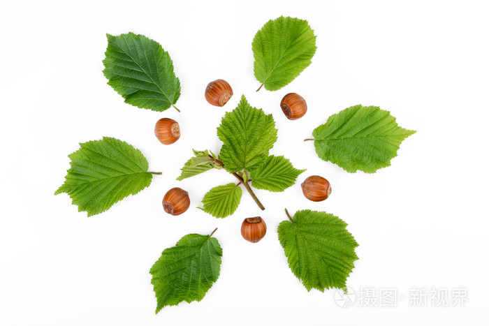 榛子与孤立的白色背景上的叶子顶视图