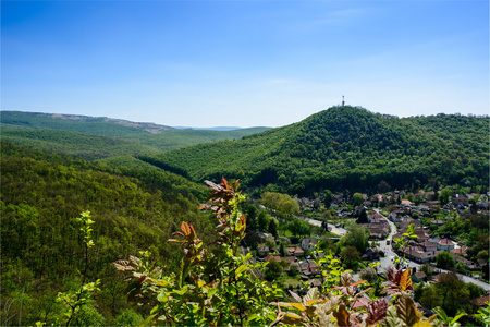 山毛榉木山，匈牙利春林