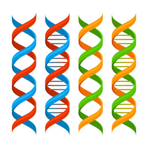 Dna 基因组分子设置。矢量