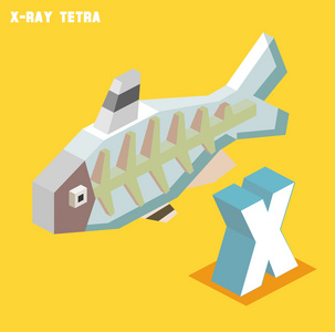 X x 射线 tetra。动物字母表