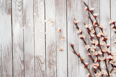 春天开花在木材的背景。在一个木制的背景上的春天的花朵