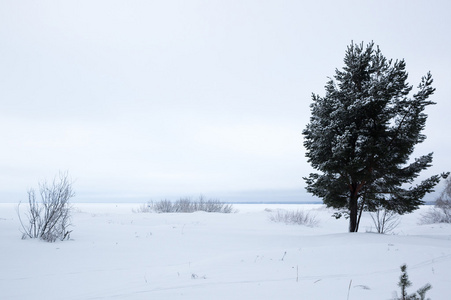 在冬天的芬兰湾