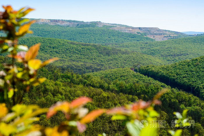 山毛榉木山匈牙利春林