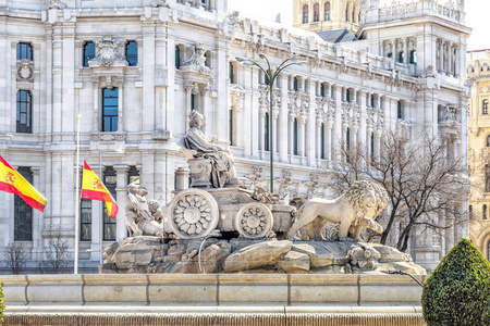 在美丽的大广场一同庆祝马德里一同庆祝喷泉
