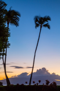美国夏威夷茂宜岛卡纳帕利海滩