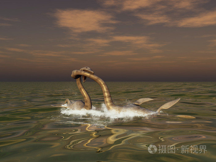 在海上战斗的两个蛇颈龙