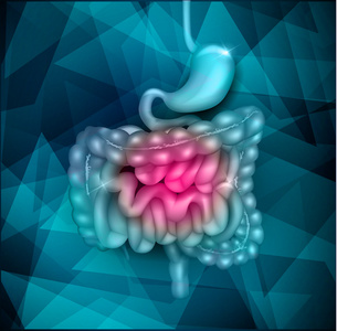 胃肠道抽象设计照片