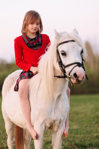 宝贝女孩正坐在一匹小马周到