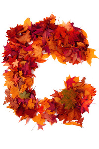 秋天的叶子的字母符号
