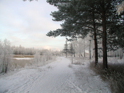 冬季公园, 公园, 鄂木斯克, 西伯利亚西部, 俄罗斯