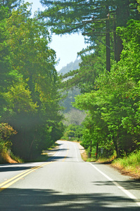 美国加州, Usa 在1号公路上通往大苏尔的公路上的景色, 大苏区是加利福尼亚州中部海岸地区, 是该州最受欢迎的旅游目的地之一