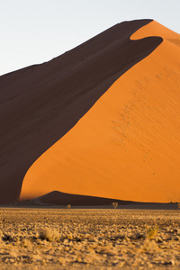 纳米布沙漠，在 Sossusvlei，纳米红色沙丘的徽章