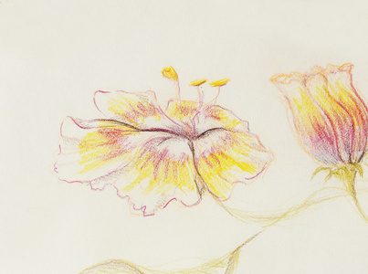 彩色绘图花.原始的手工画在纸上照片