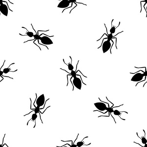 蚂蚁的背景模式图片
