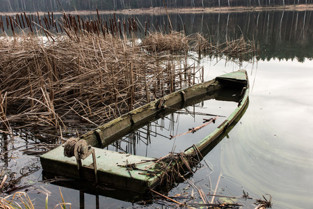 满是芦苇里水的旧木船
