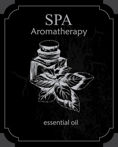 与薄荷精油 Spa 程序的概念