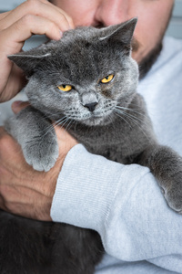 男人坐在安乐椅上，抱着他华丽的宠物猫