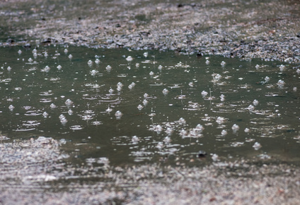 中雨图片