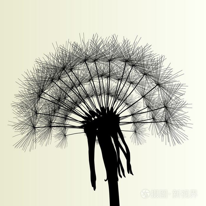 抽象的蒲公英背景矢量图春天