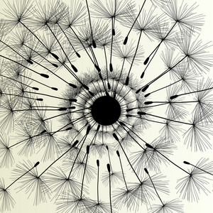 抽象的蒲公英背景矢量图春天照片