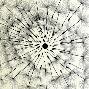 抽象的蒲公英背景矢量图春天照片