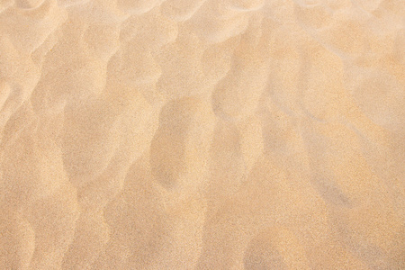 关闭了在夏日的海滩砂纹理图案背景