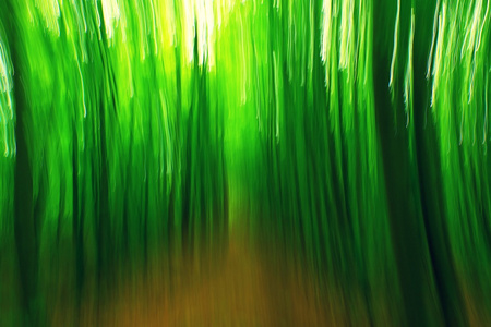 背景的的散焦的森林。模糊和德集中在森林里的新鲜绿颜色