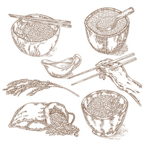 茉莉种子图片