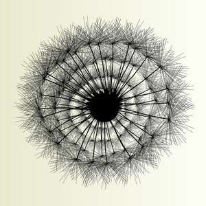 抽象的蒲公英背景矢量图春天照片