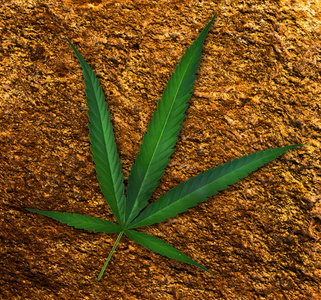 Carnabis 对岩石纹理背景