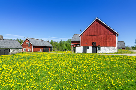 瑞典农场在阳光灿烂的日子