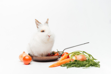 煎锅和蔬菜里面的兔子