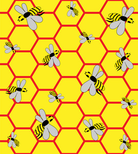 关于蜂窝蜜蜂