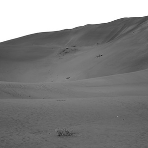 在阿曼老沙漠 rub 鲁卜哈利沙漠空季和户外
