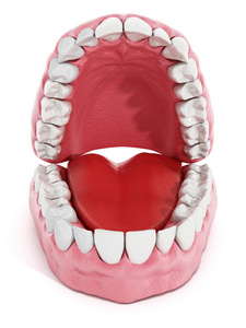 人工牙和肺模型。3d 图