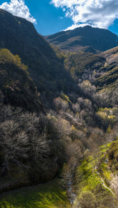 树木繁茂的山坡和山谷