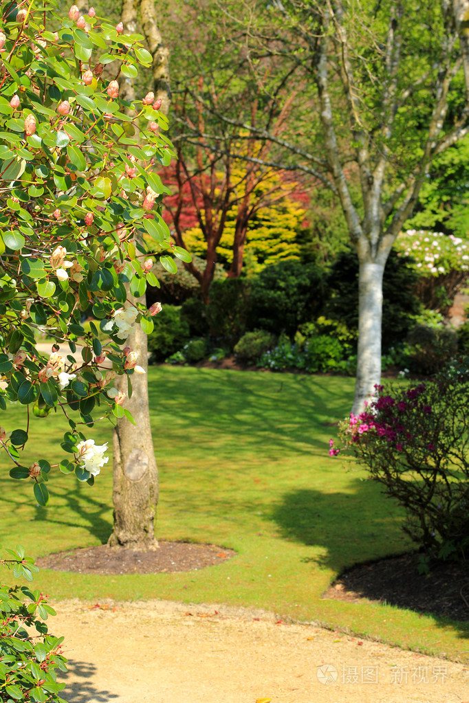 美丽的春天花园在苏格兰