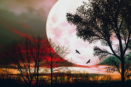 美丽的夜晚景观照片