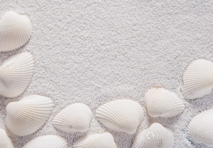 白色外壳紧靠白色的沙子